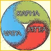 tridosha.jpg